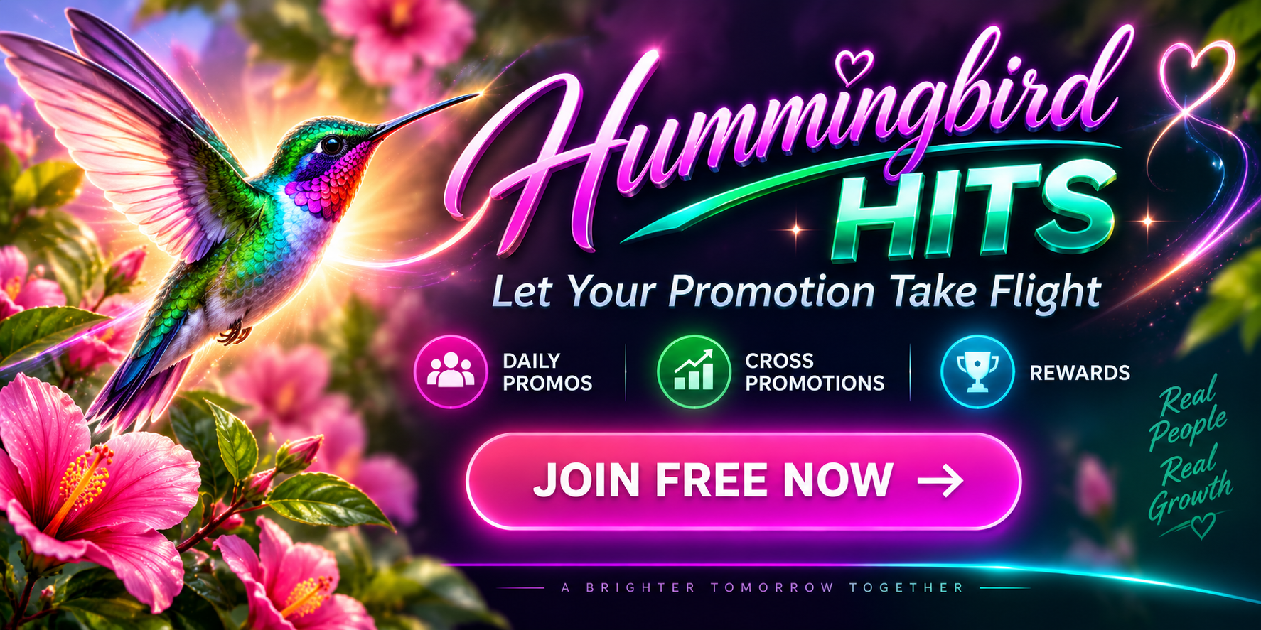 Hummingbird Hits promotion banner